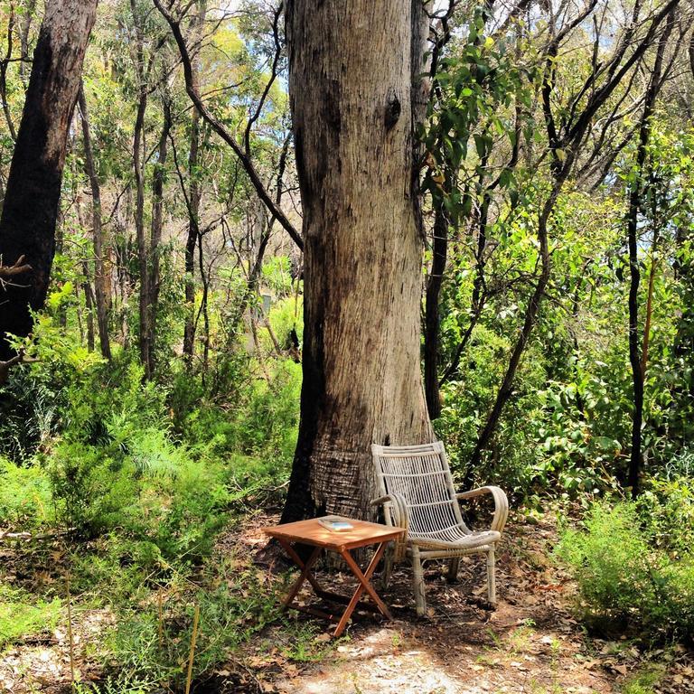 マーガレットリバー Wilderness House Bed & Breakfast 部屋 写真